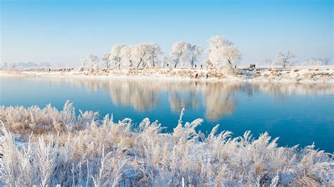 De Betoverende Schoonheid van het Songhua-Rivierlandschap: Een Verfrissend Avontuur voor Iedereen!