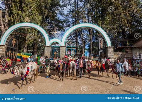  De Entoto Bergen: Een Oase van Kalmte Boven Addis Abeba