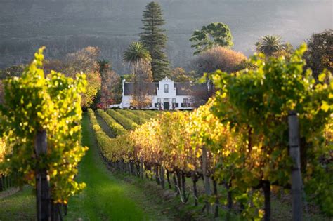 De Groot Constantia: Een Historische Wijnboerderij met adembenemende uitzichten!