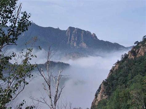 De Wǔlíngshan: Een mystiek bergparadijs met verbluffende uitzichten!