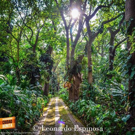 El Jardín Botánico de Bucaramanga: Een Verrassende Oase van Biodiversiteit in het Hart van Colombia!