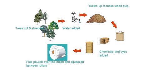 Is making paper from wood a chemical change, or is it just a tree's way of getting a makeover?