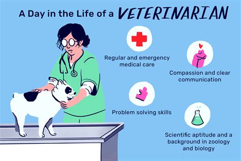 What Education Do I Need to Be a Veterinarian? And Why Do Cats Always Land on Their Feet?